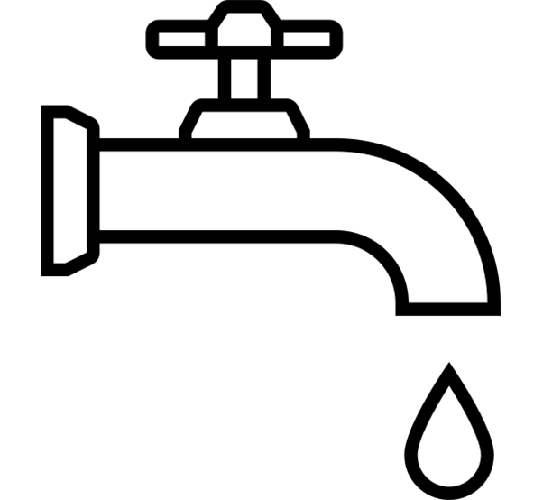 Grifo